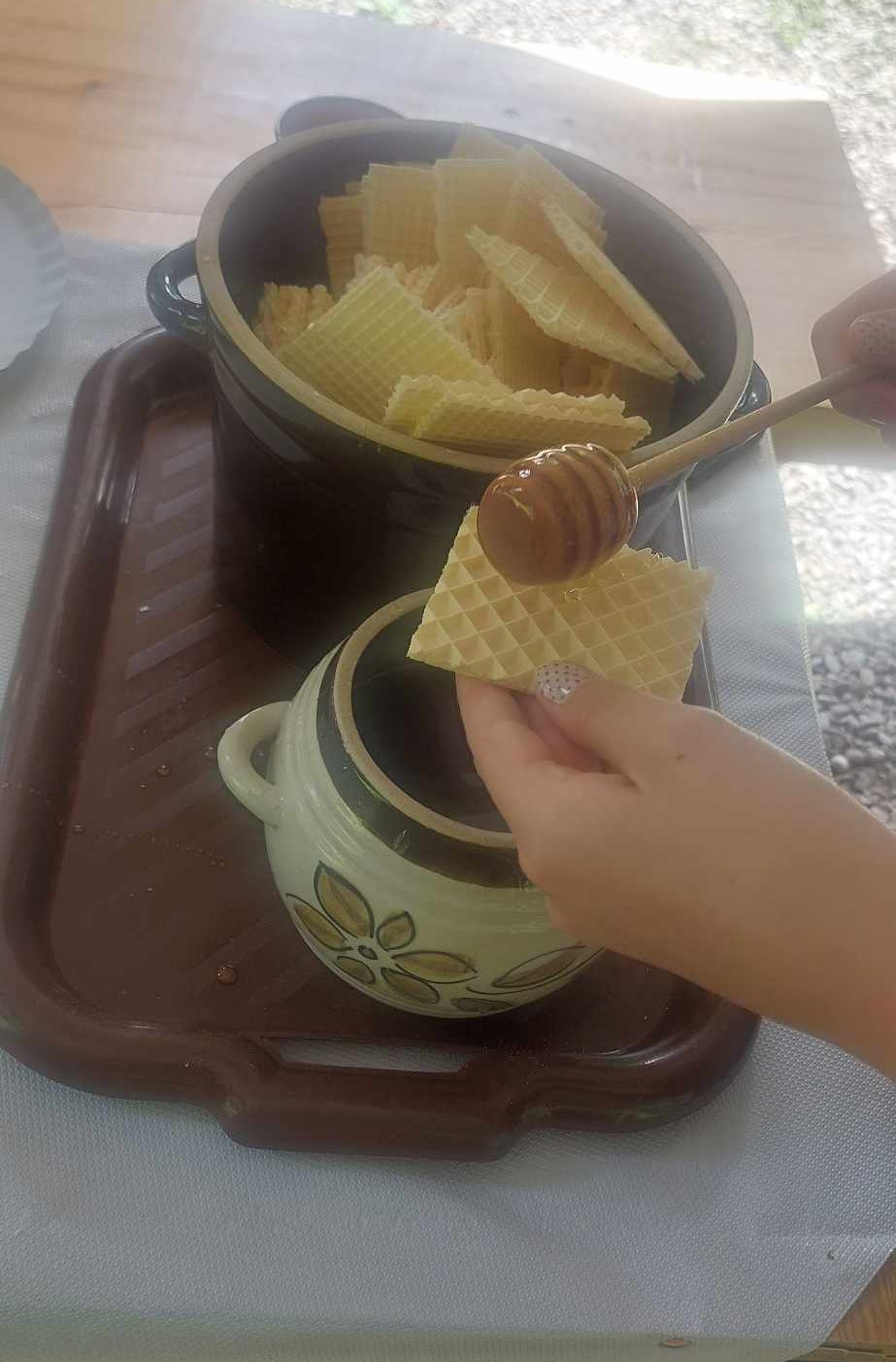 Edukacyjna wycieczka dla dzieci i młodzieży