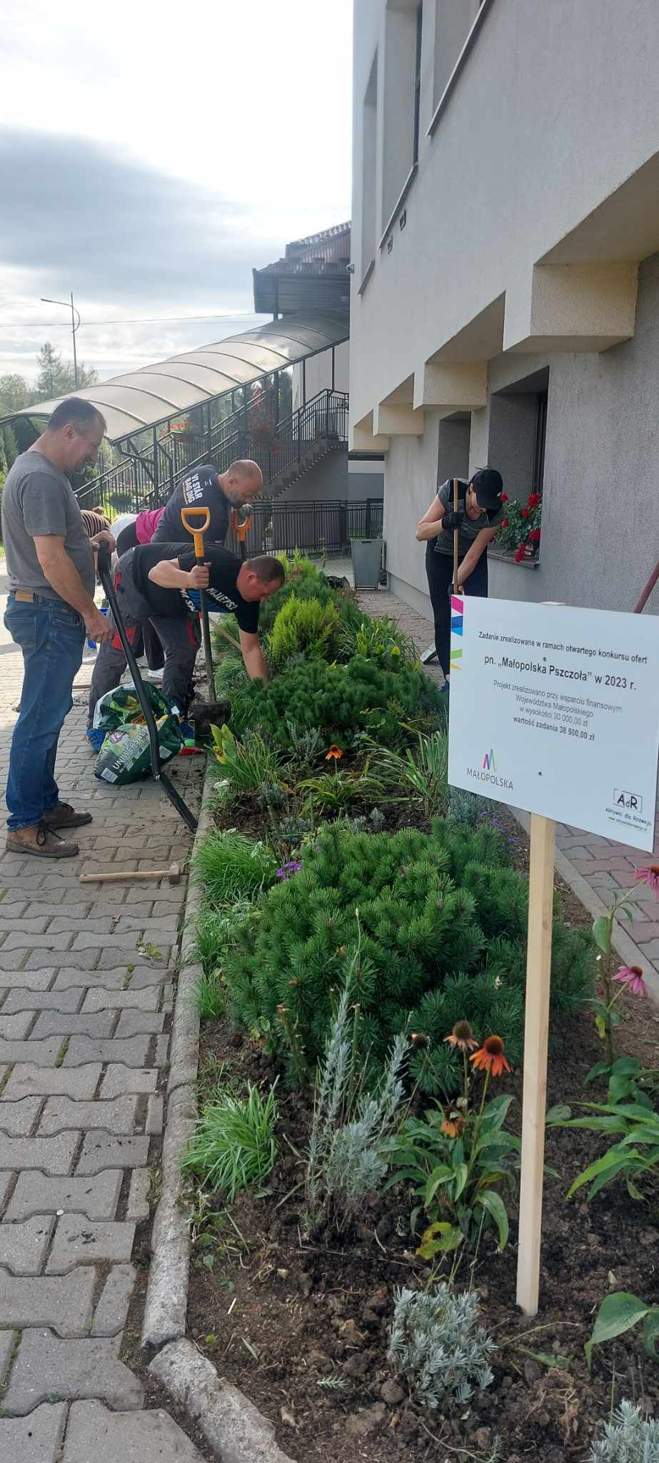 Nasadzenia roślin miododajnych